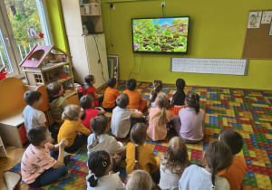 oglądamy bajke o dyni