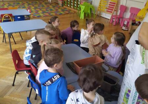 Dzieci wsypują nasionka