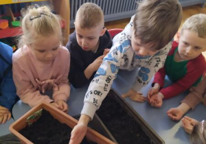 Dzieci wsypują nasionka