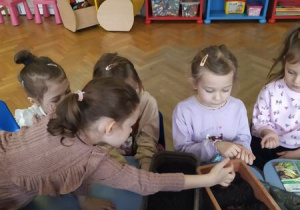 Dzieci wsypują nasionka