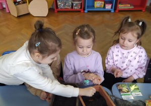 Dzieci wsypują nasionka