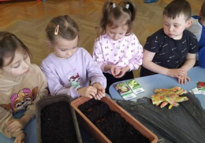 Dzieci wsypują nasionka