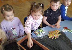 Dzieci wsypują nasionka