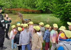 Dzieci spacerują po Dinoparku i poznają dinozaury