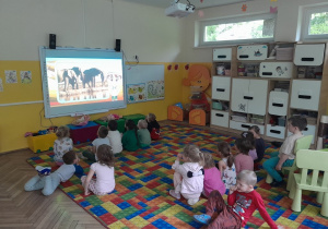 Dzieci oglądają film edukacyjny o zwierzętach