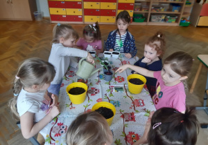 Dzieci sadzą cebulę