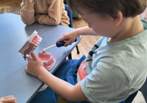 Dzieci szczotkują zęby na specjalnym modelu szczęki