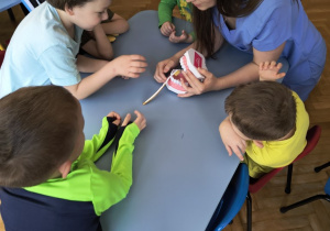 Dzieci szczotkują zęby na specjalnym modelu szczęki