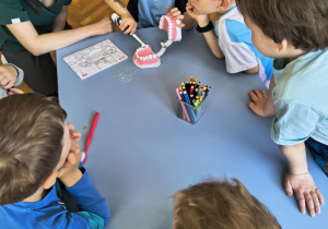 Dzieci szczotkują zęby na specjalnym modelu szczęki
