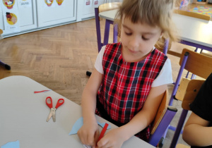 Zdjęcie 8 na 26