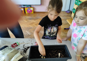 Zdjęcie 14 na 27