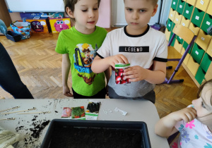 Zdjęcie 16 na 27