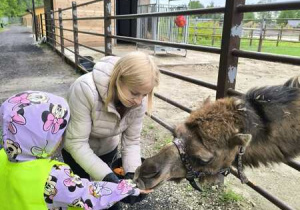 Karmienie zwierząt