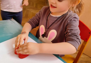 Zdjęcie 16 na 20