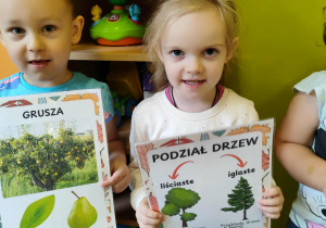 Zdjęcie 2 na 20