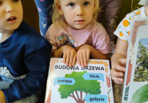Zdjęcie 6 na 20