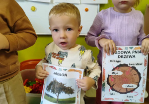 Zdjęcie 16 na 20