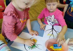 Zdjęcie 17 na 49