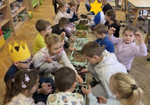 tworzą jesienną ścieżkę sensoryczną