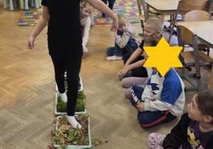 stopami wędrują po ścieżce
