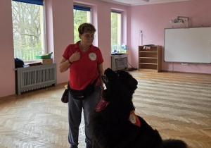 prezentacja psa Teodora