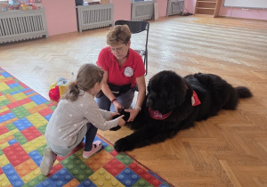 wskazywanie części ciała psa