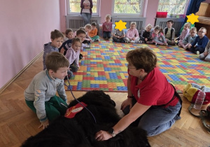 słuchanie bicia serca psa