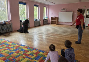 pokaz umiejętności Teodora