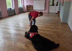 pokaz umiejętności Teodora