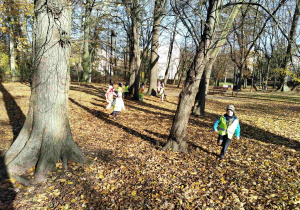 slalom między drzewami