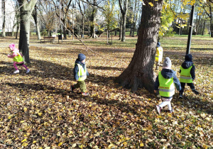 slalom między drzewami