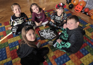 pajęczyna dla pająka