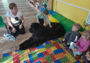 Dziecko głaszcze psa