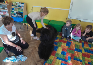 Dziecko głaszcze psa