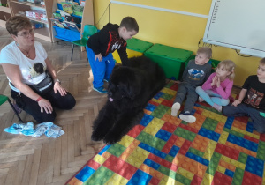 Dziecko głaszcze psa