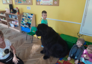 Dziecko głaszcze psa