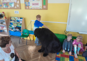 Dziecko głaszcze psa