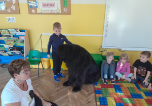 Dziecko głaszcze psa