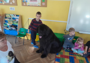 Dziecko głaszcze psa