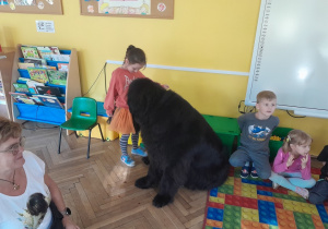 Dziecko głaszcze psa