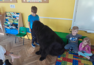 Dziecko głaszcze psa