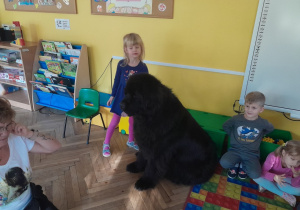 Dziecko głaszcze psa