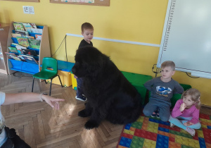 Dziecko głaszcze psa