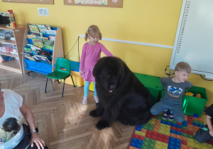 Dziecko głaszcze psa