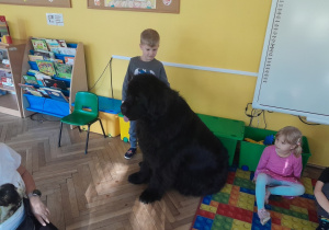 Dziecko głaszcze psa