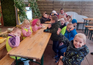 Motylki w Dobroniance