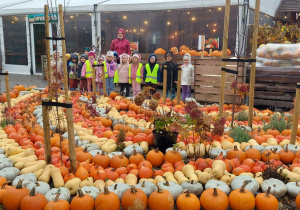 Motylki w Dobroniance