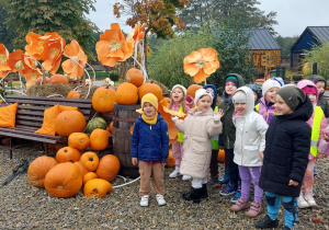 Motylki w Dobroniance