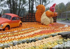 Motylki w Dobroniance