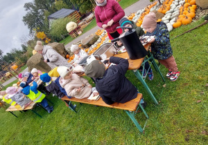 Motylki w Dobroniance